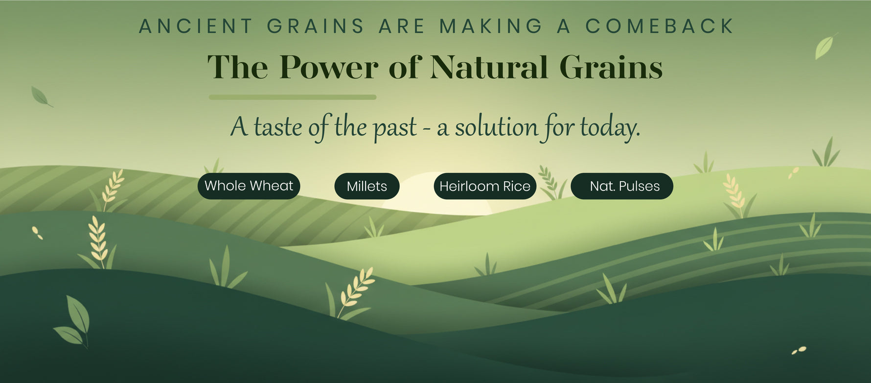 Ancient Grains Making a Comeback: The Power of Natural Foodgrains