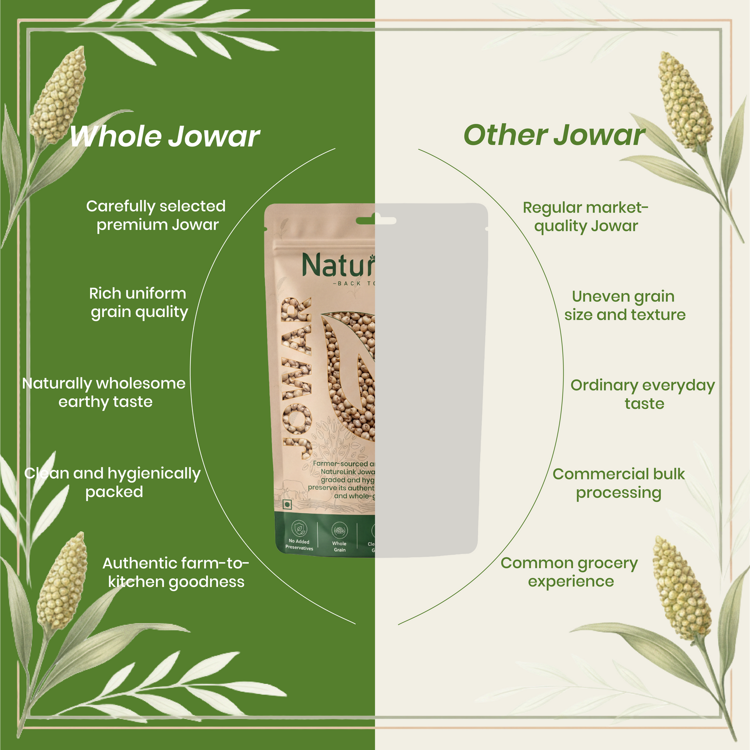 Jowar/Sorghum